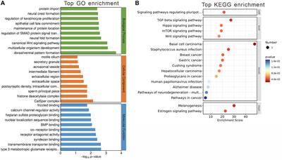 Characterizing defective lipid metabolism in the lateral septum of mice treated with olanzapine: implications for its side effects